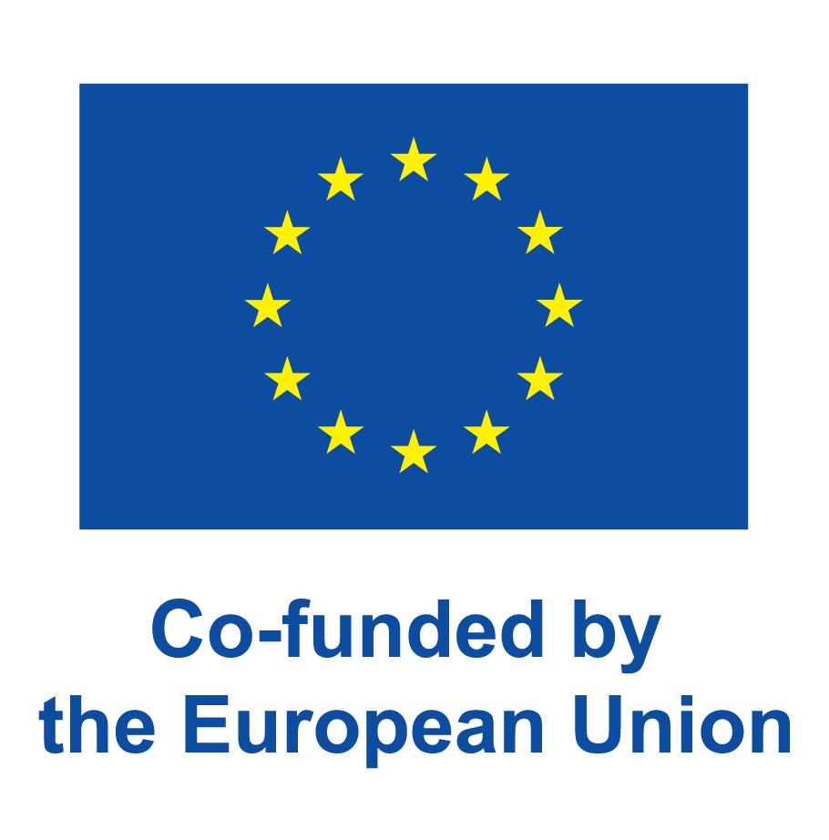Co-funded by the European Union logo